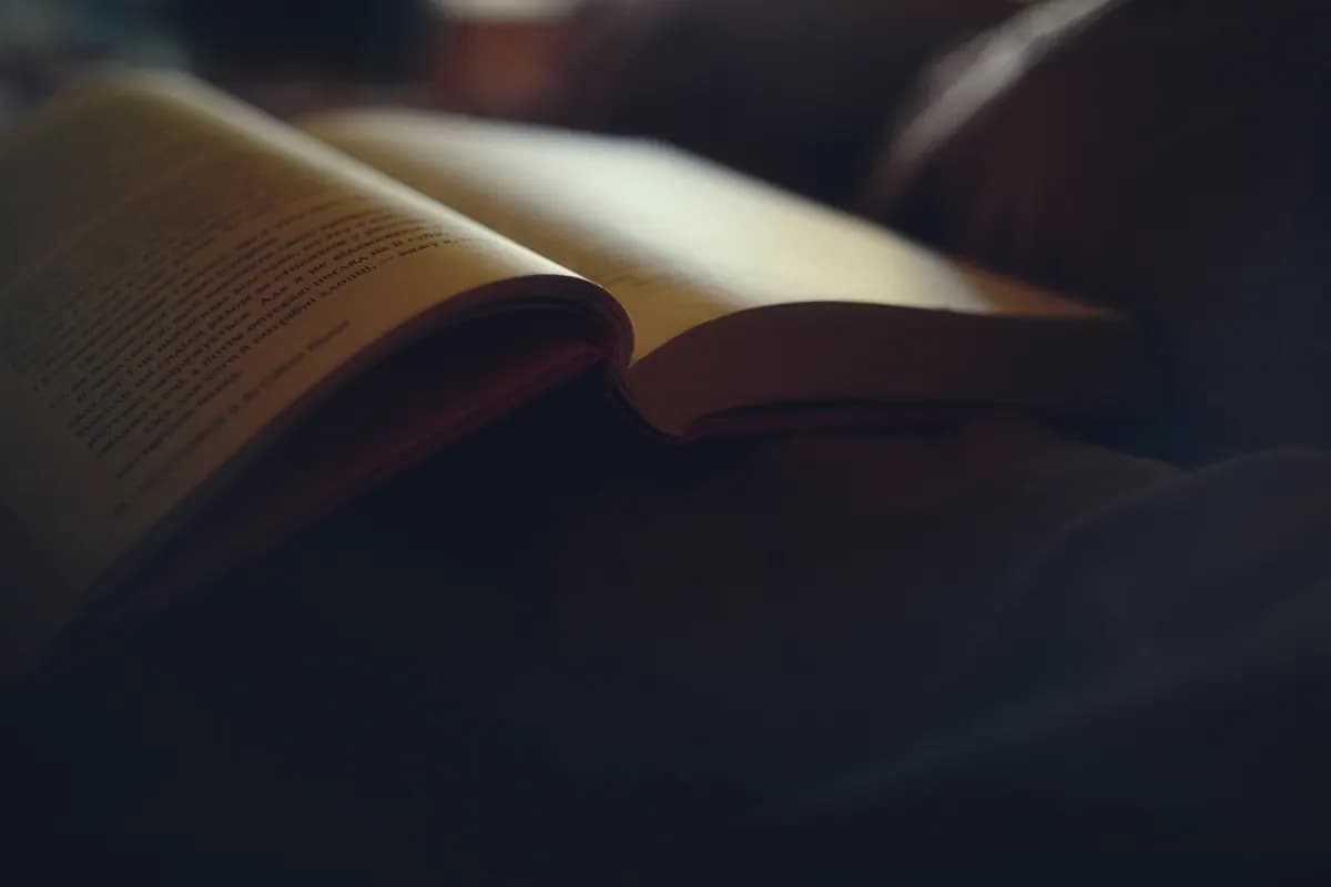 An open book resting face up in soft warm light, with the pages curving away from the spine